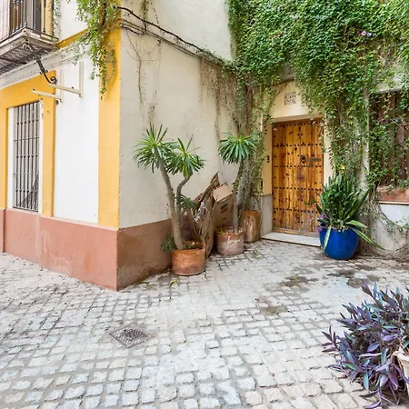 Appartement Alohamundi Juderia Ii - Amazing House 3 Terraces&views *